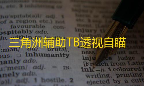 三角洲辅助TB透视自瞄物资辅助效果图